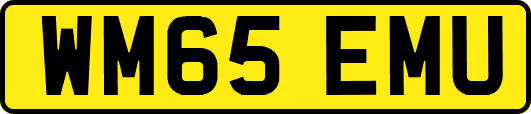 WM65EMU