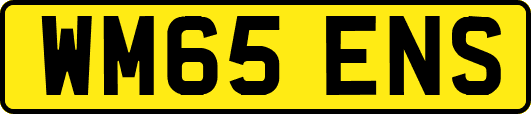 WM65ENS