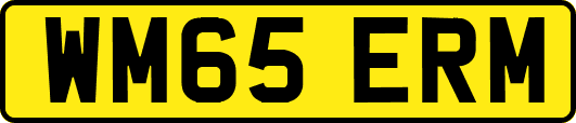 WM65ERM