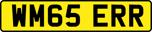 WM65ERR