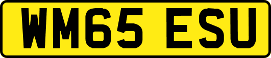 WM65ESU