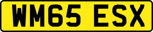 WM65ESX