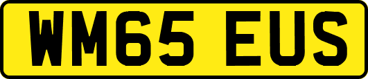 WM65EUS
