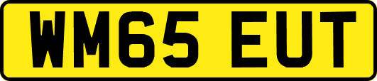 WM65EUT