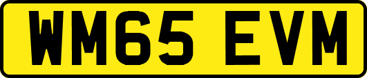 WM65EVM