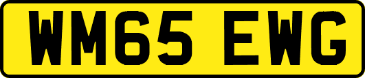 WM65EWG