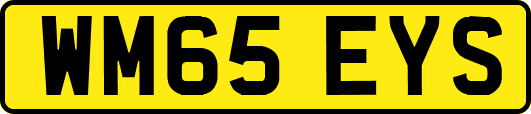 WM65EYS