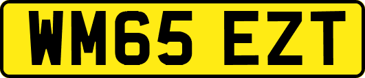 WM65EZT