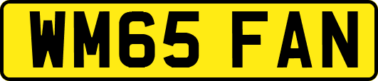 WM65FAN