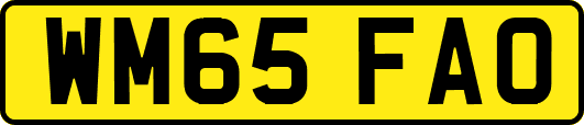 WM65FAO