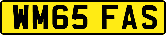 WM65FAS