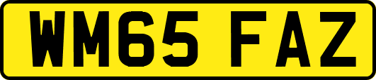 WM65FAZ