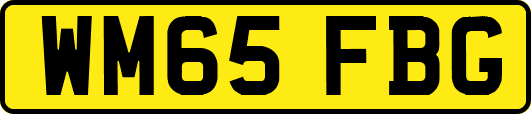WM65FBG