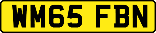 WM65FBN