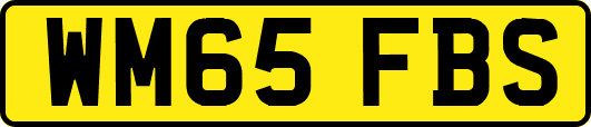 WM65FBS