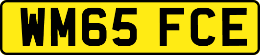 WM65FCE