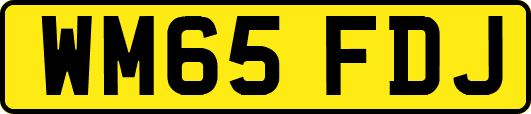 WM65FDJ