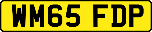 WM65FDP
