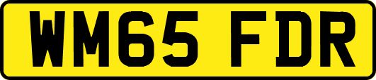 WM65FDR