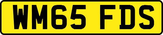 WM65FDS