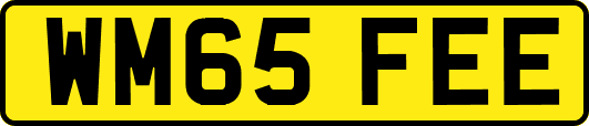 WM65FEE