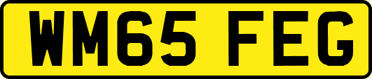 WM65FEG