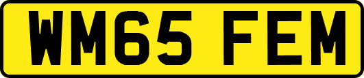 WM65FEM