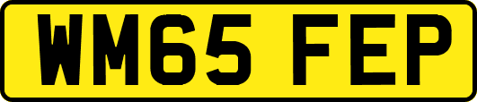 WM65FEP