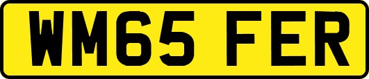 WM65FER