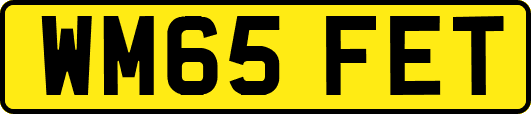 WM65FET