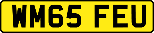 WM65FEU