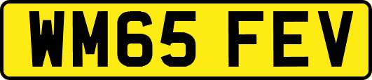 WM65FEV