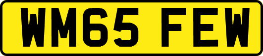 WM65FEW