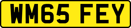 WM65FEY
