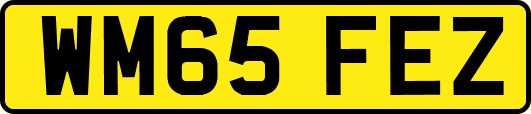 WM65FEZ