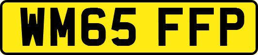 WM65FFP
