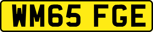 WM65FGE