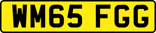 WM65FGG