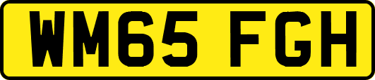 WM65FGH