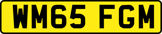WM65FGM