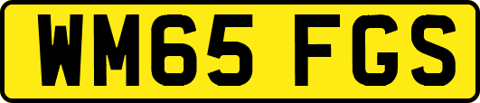 WM65FGS