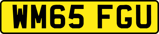 WM65FGU