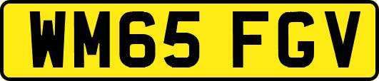 WM65FGV