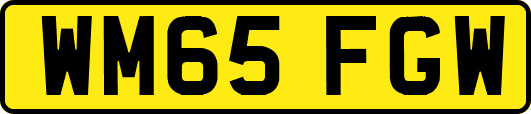 WM65FGW