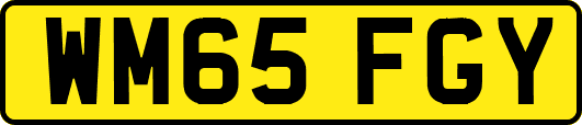 WM65FGY