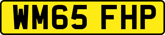 WM65FHP