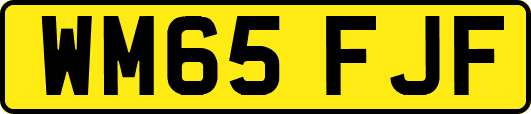 WM65FJF