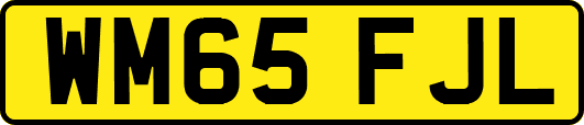 WM65FJL