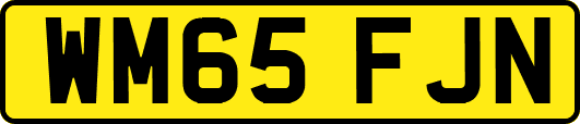 WM65FJN