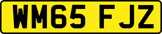 WM65FJZ